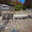 느티나무 일원 이미지