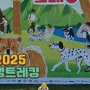 댕댕식당 이미지