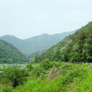 구담체육공원 이미지