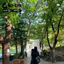 웨딩스위치 이미지