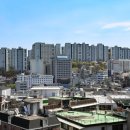 5150 이미지