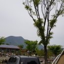 정희농박 이미지