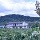 요셉의집 이미지