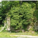 옥룡 파출소 이미지