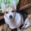 헐소 | 강화도 루지근처 농가의식탁, 솔직후기