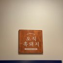 제주도민과 DAY6 영케이가 인정한 제주 흑돼지 맛집, ‘오직 흑돼지’에서 첫 끼 성공 후기
