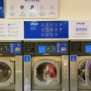 코인워시365독산역롯데 이미지