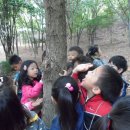 서문유치원 이미지