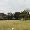 도그캠프 이미지