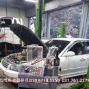 오토오아시스공주