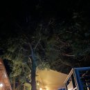 나무사이로 햇살이 | 제주 송당리 숙소 '나무사이로 햇살이' | 끝사랑 촬영지 | 송당리 주변 식당