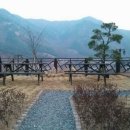 애플팸럭셔리풀빌라리조트 이미지