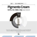 피그멘토 이미지