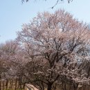 구릉산자락길 이미지