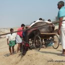 폴더의 Lonely planet-India (11) 이미지