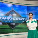 프로(166) 이미지