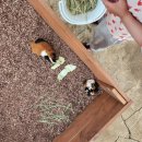 용기네 농장 이미지