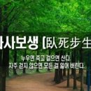 해피방 이미지
