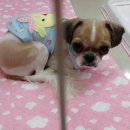 갈마중학교 이미지