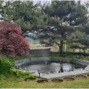 지평공인중개사사무소 네이버블로그