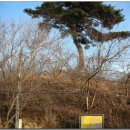금호주유소 Daum카페