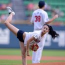 태미 카카오 검색결과