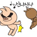 강원현문주방마트 이미지