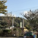 행복누리고펜션 이미지