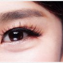 모다브로우 이미지