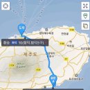 대성B&B