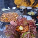 이서방도야지