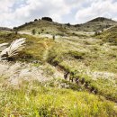 들녘목장 이미지