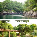 머체왓숲길영농조합법인 이미지