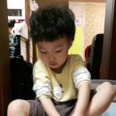 영록목장 Daum카페
