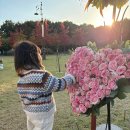 베이비샵 | 베이비샵(Babyshop) 직구 후기, 사이즈 2Y 3Y 4Y, 브랜드 추천 및 할인 코드