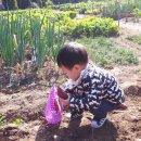 준영농장 이미지