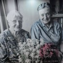 2박 3일간 전남 고흥에 다녀왔습니다 2 이미지