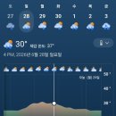 그린월드