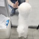 연산동물의료센터 이미지