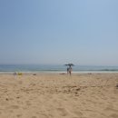 삼포화이트빌 이미지