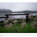 호명펜션 이미지