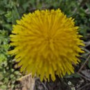 원주굽이길 6코스 고바우길 이미지