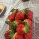 신북농장 | [여행] 🍓 포천 딸기 체험 농장&amp; 배상면주가 ‘산사원’ 투어 🍶 – 달달하고 취향 저격했던 하루!