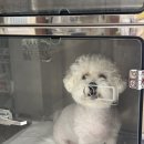 태종동물병원 이미지