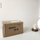 해피데이온열