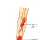 몸짱만들기GYM 이미지