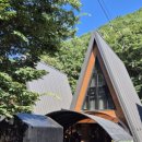 별을 담은 숲 이미지