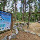 용인자연휴양림3 이미지