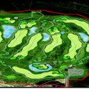 국도22호선가로수 이미지