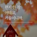 출렁다리? 이미지